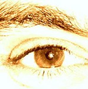 Meet your Posher, Dario